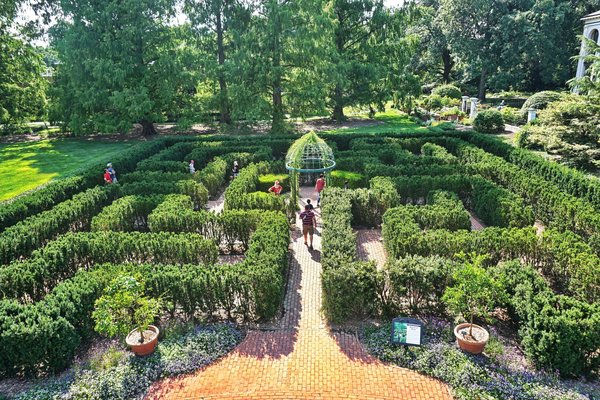 les erreurs à éviter lors de la création d'un jardin paysager