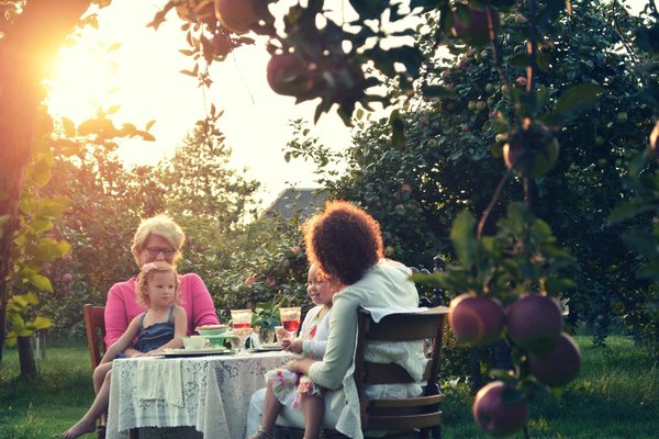 conseils pour planter des arbres fruitiers dans son jardin