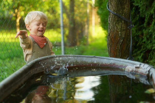 Un guide pratique pour choisir le récupérateur d'eau de pluie idéal